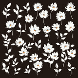 Abstract flower material ideal for textile design,