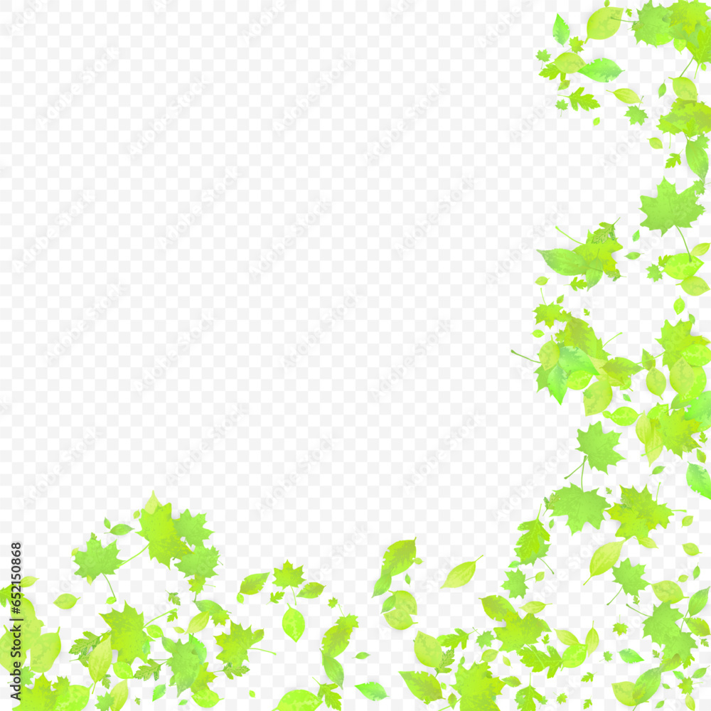 Leaves Falling Spring Flying Foliage Green Leaf