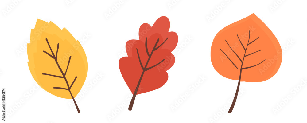 Autumn leaves collection on white background vector.
