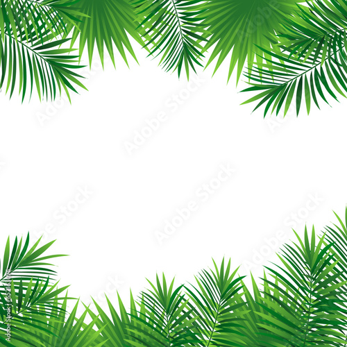 amazon tropical border frame. Green rainforest card. Vector illustration with beautiful tropic plants. Palm and monstera leaves on a white square background for summer designs, cards and wallpaper