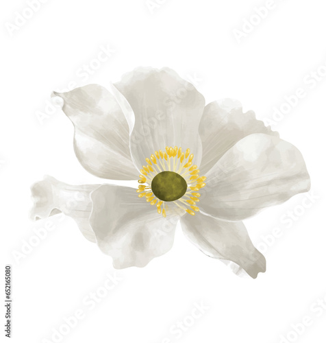 single icon of white flower watercolor illustration vector. 