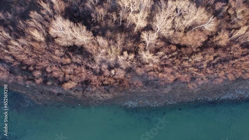 Sunset Forest By The River Aerial