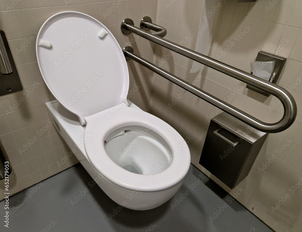 toilet for disabled wheelchair users. a tilting mirror with a lever