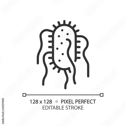 2D pixel perfect editable black salmonella typhi icon, isolated vector, simple thin line illustration representing bacteria.