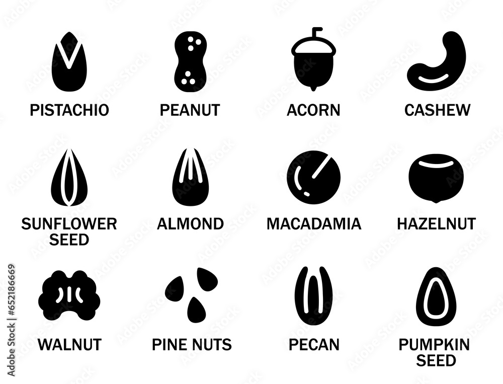 Set of various nuts and seeds. Set of nuts with their names. Concept of healthy eating, proper diet, vegetarian. Almonds, Walnuts, Cashews, Macadamia, Peanuts. Vector illustration in monochrome style