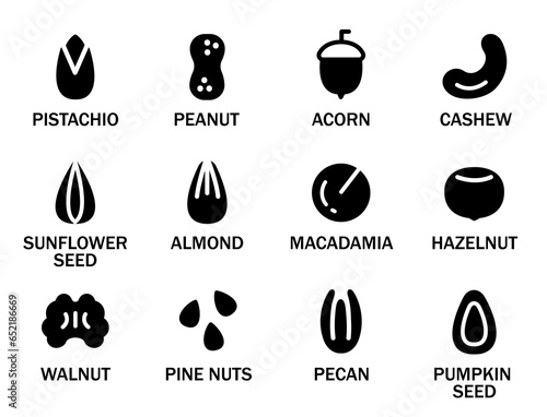 Set of various nuts and seeds. Set of nuts with their names. Concept of healthy eating, proper diet, vegetarian. Almonds, Walnuts, Cashews, Macadamia, Peanuts. Vector illustration in monochrome style