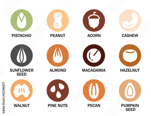 Set of various nuts and seeds with their names. Nuts, seeds, grains and legumes icon set. Flat style icons. Plant based diet ingredients. Vector illustration in colorful style