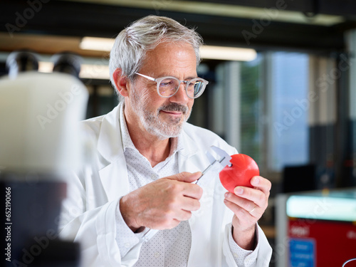 Smiling mature scientist measuring red ball with caliper in laboratory photo