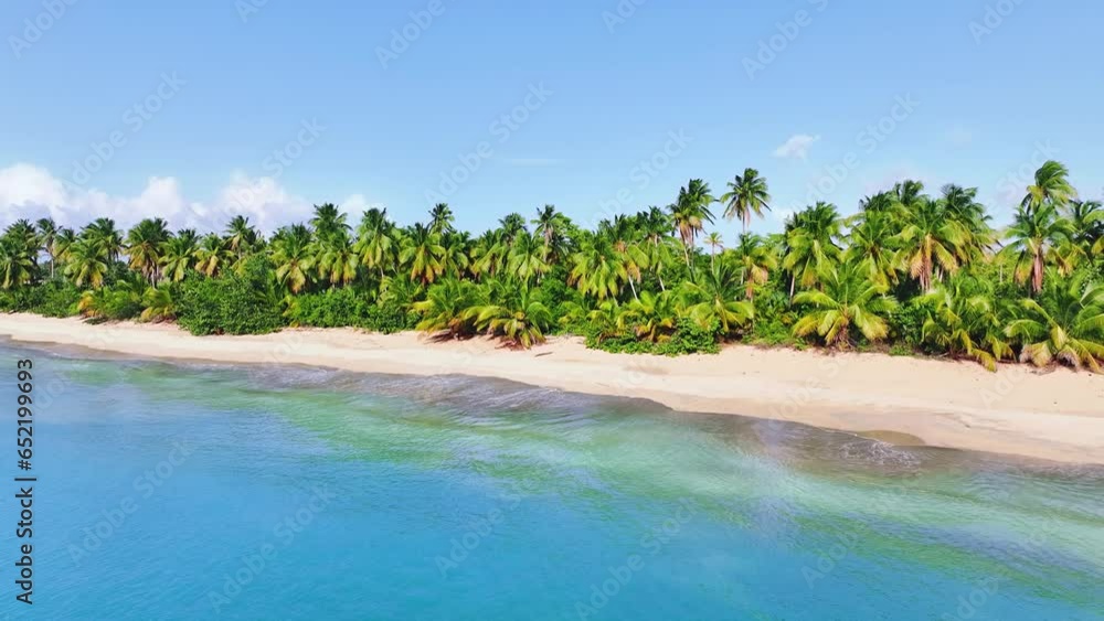 Green coconut trees on a white sand beach in the blue coastal sea of the Dominican Republic. Relaxed lifestyle on white sand background, summer travel concept. Beach and beautiful Caribbean Sea. Green coconut trees on a white sand beach in the blue coastal sea of the Dominican Republic. Relaxed lifestyle on white sand background, summer travel concept. Beach and beautiful Caribbean Sea.