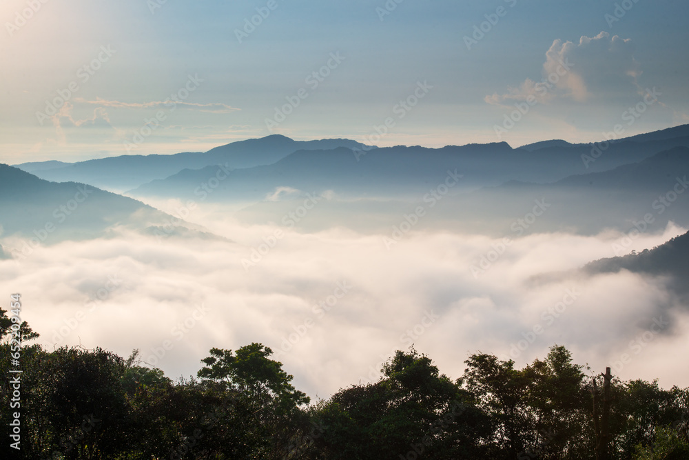 The sun penetrates the clouds and spills into the valley. Early morning view of tea gardens, sea of ​​clouds and sunrise, Nanshan Temple.