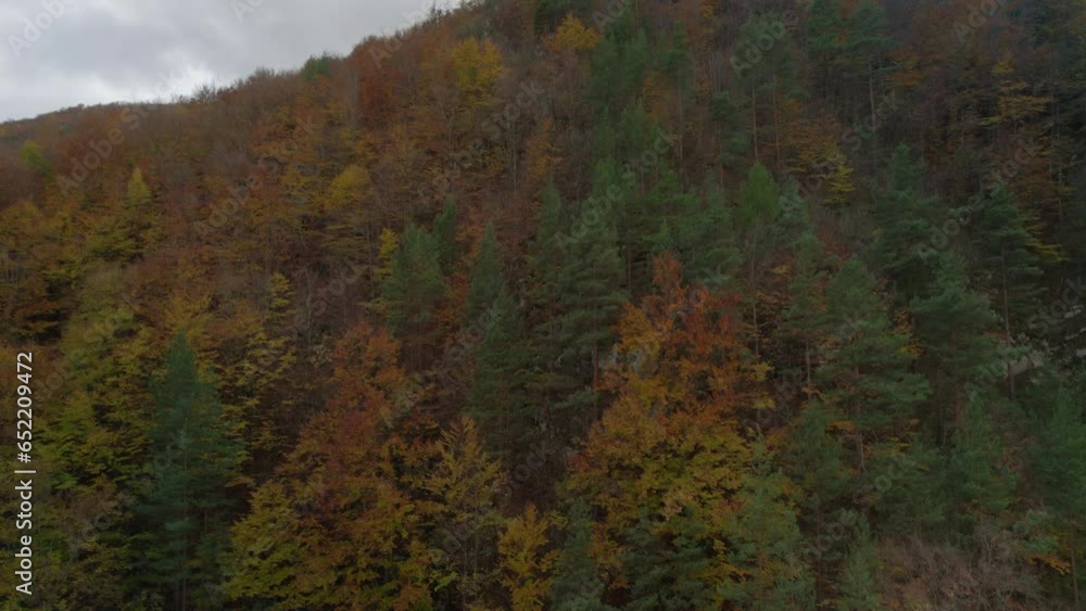 Mountain with deciduous forests and fir trees in the beautiful colors of the autumn season, captured from an ascending drone under a cloudy sky. Mountain with deciduous forests and fir trees in the beautiful colors of the autumn season, captured from an ascending drone under a cloudy sky.