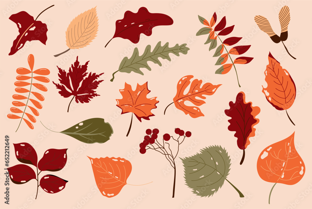 Colourful hand drawn set with autumn torn leaves and berries. Two-color and three-color leaves design. Colourful hand drawn set with autumn torn leaves and berries. Two-color and three-color leaves design.