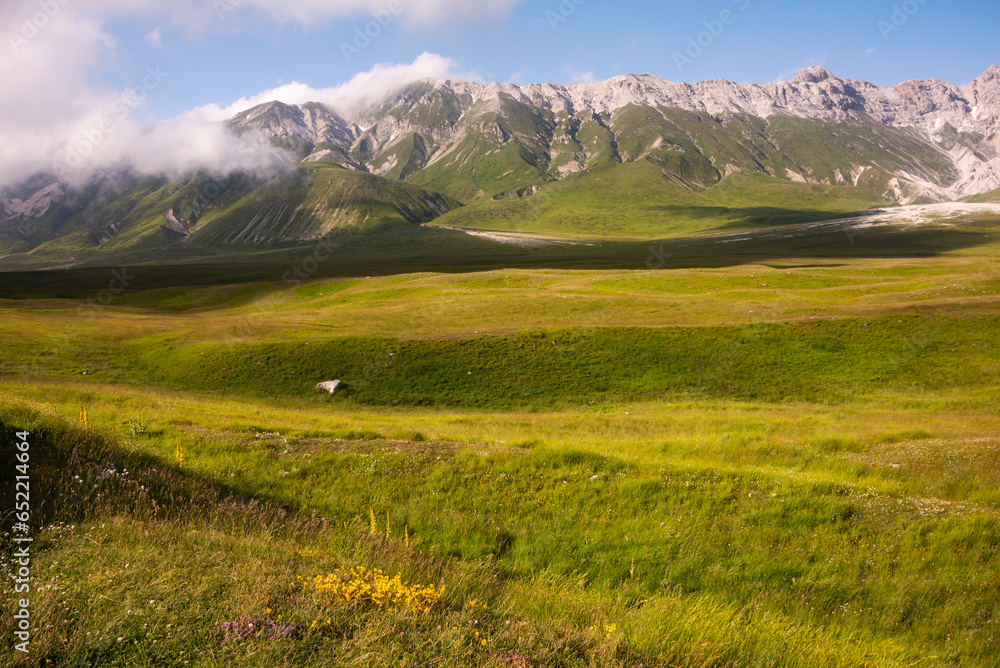 Mountain pasture in summer, natural landscape