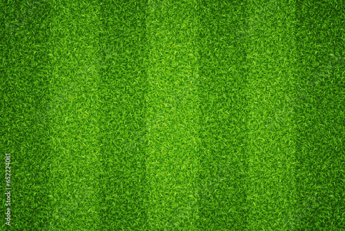 Football field texture green lawn. Vector