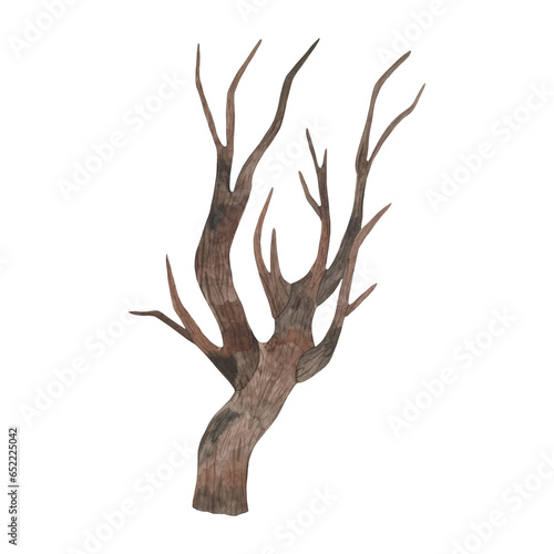 Watercolor drawing of a tree without leaves. Autumn and winter nature. Hand drawn.
