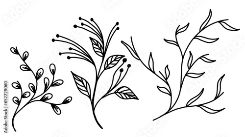 Floral branch and minimalist flowers for logo or tattoo. Hand drawn line wedding herb, elegant leaves for invitation save the date card. Botanical rustic trendy