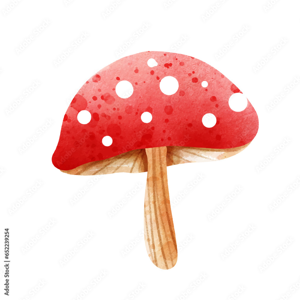 fly agaric mushroom fly agaric mushroom