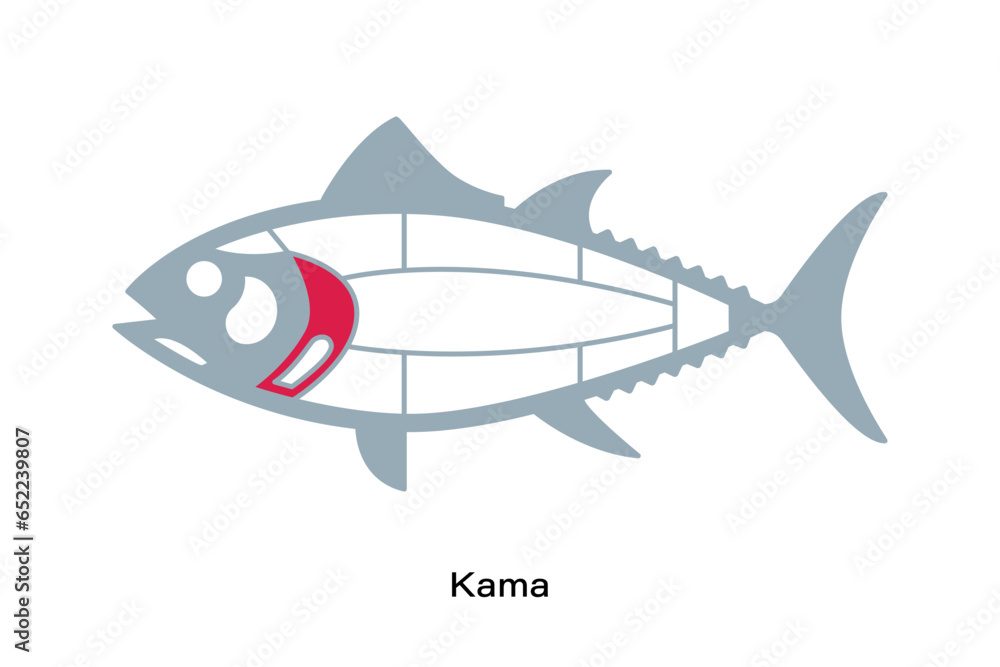 Obraz premium Kama. Tuna Cuts line diagram. Japanese style
