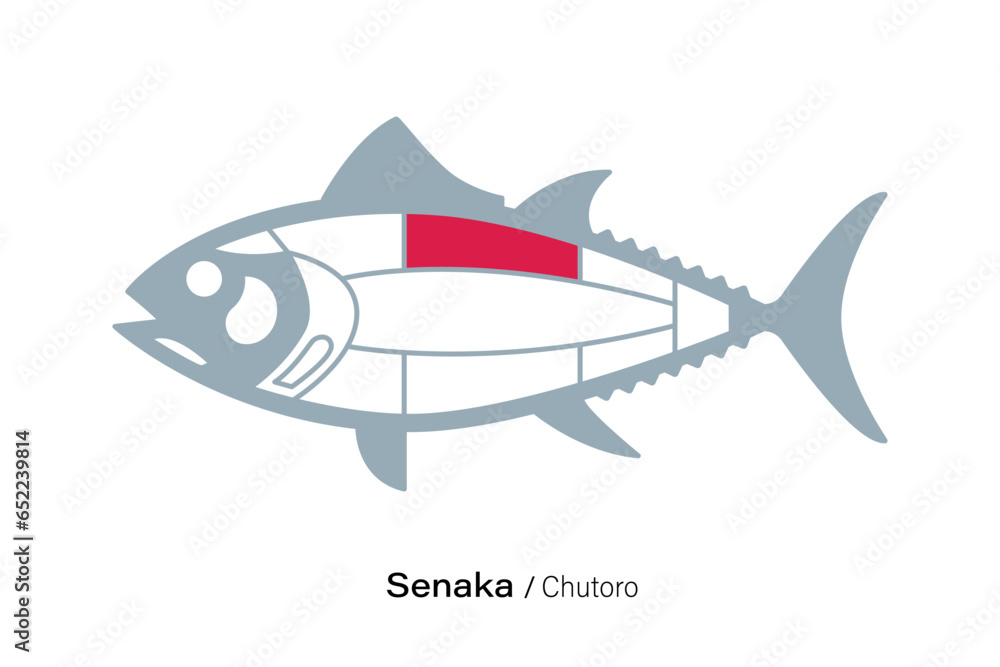 Senaka. Tuna Cuts line diagram. Japanese style Senaka. Tuna Cuts line diagram. Japanese style
