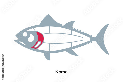 Kama. Tuna Cuts line diagram. Japanese style