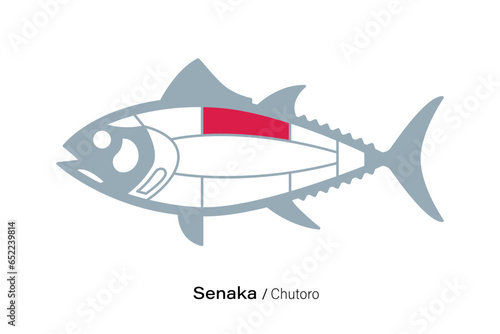 Senaka. Tuna Cuts line diagram. Japanese style