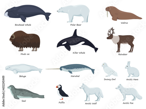 Set of arctic animals with inscriptions