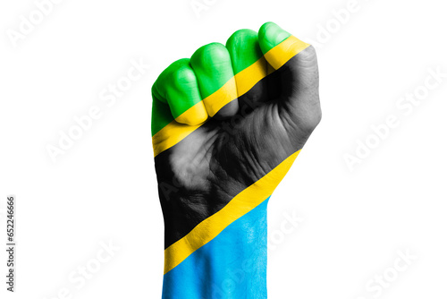 Man hand fist of TANZANIA flag painted. Close-up. photo