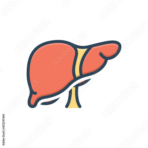 Color illustration icon for liver 