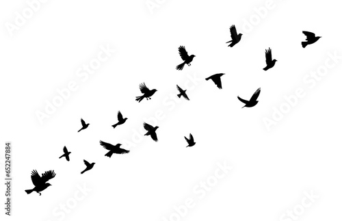Flying birds silhouette flock. Vector illustration © Мария Неноглядова
