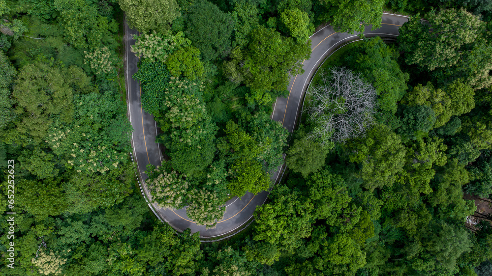 Obraz premium Aerial top view road in green tree forest, Top view from drone rural road, mountains, forest. Beautiful landscape with roadway, Aerial view of road in the middle the forest, Road curve on mountain.