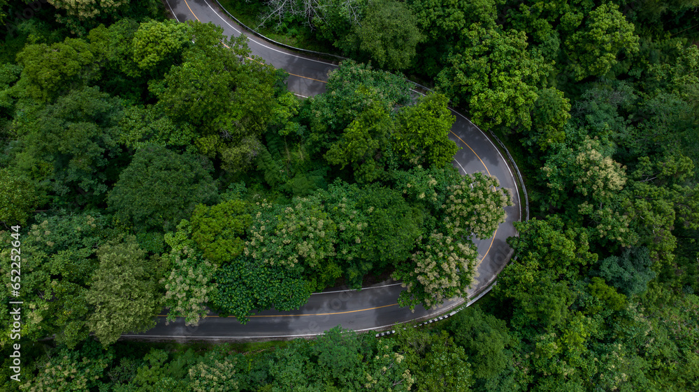 Aerial top view road in green tree forest, Top view from drone rural road, mountains, forest. Beautiful landscape with roadway, Aerial view of road in the middle the forest, Road curve on mountain.