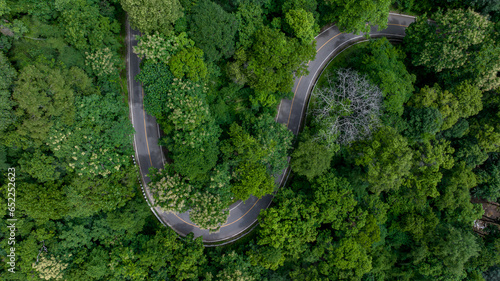 Aerial top view road in green tree forest, Top view from drone rural road, mountains, forest. Beautiful landscape with roadway, Aerial view of road in the middle the forest, Road curve on mountain. © Kalyakan
