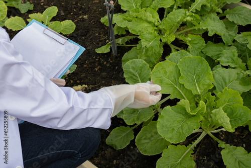 scientist checking and analysis plants in a greenhouse