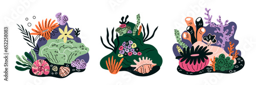 Cartoon underwater compositions. Beautiful seashells and decorative algae. Marine corals. Oceanic plants and seaweeds. Coral reefs. Aquatic conch. Garish vector undersea elements set