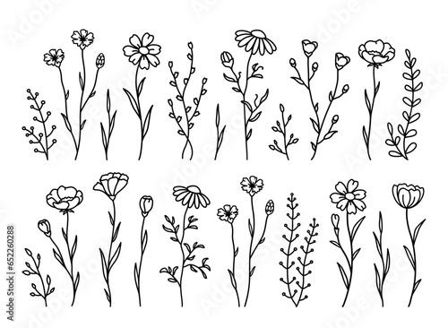 Botanical wildflowers set silhouettes, meadow flower and herbs