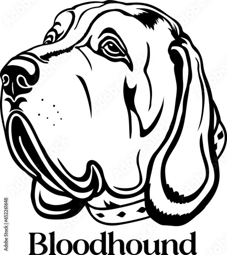Bloodhound Dog silhouette monogram Dog breed. Dog face 
