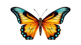 Tropical butterflie isolated on transparent background