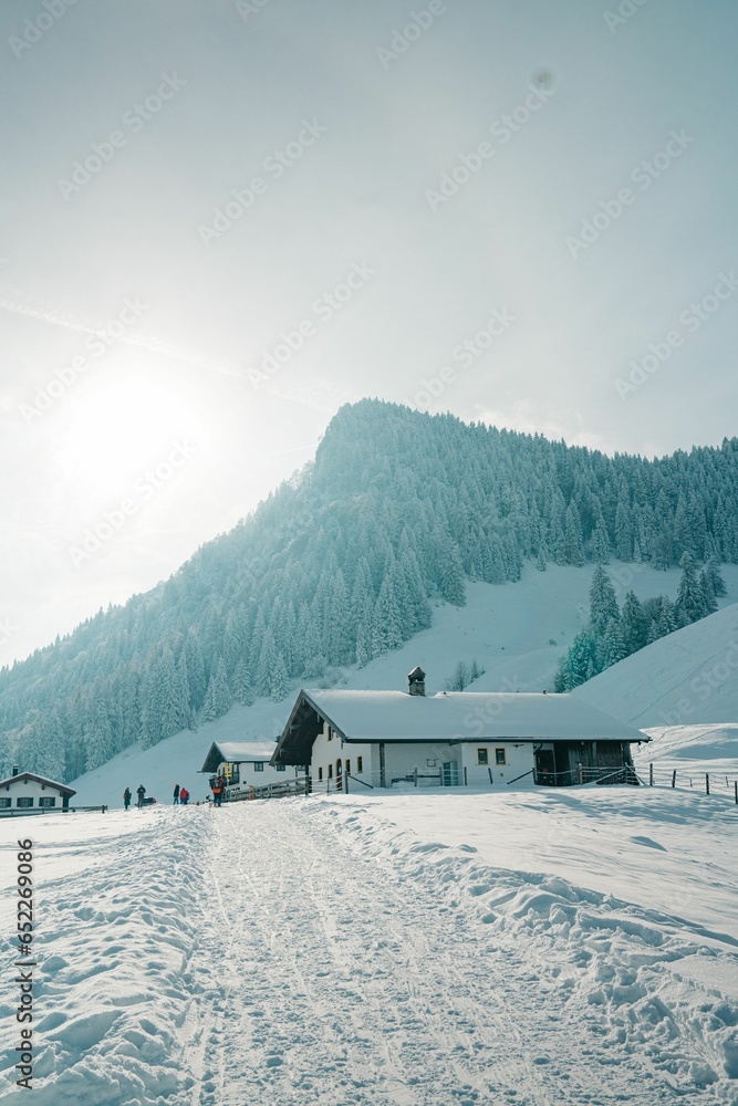 Scenic snow-covered landscape featuring a small log cabin in the distant background