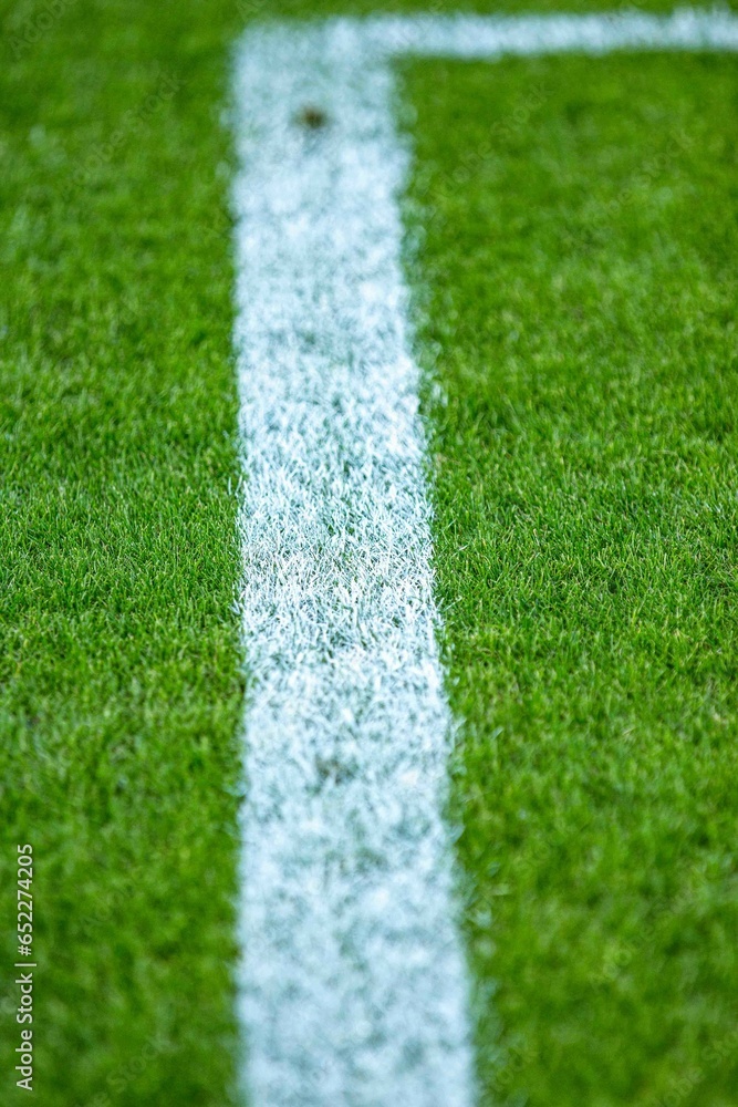 White line of a soccer field - perfect for sport background