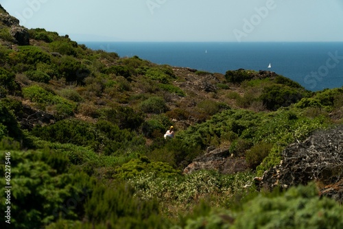 Hiker walking on the green mossy hillside