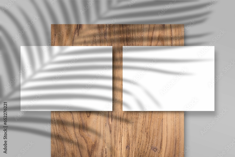 Obraz premium Illustration of shadows of plants on a background with blank abstract frames with copy space