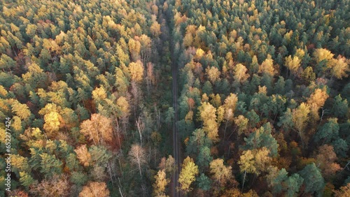 abandoned railway in the autumn forest from a drone