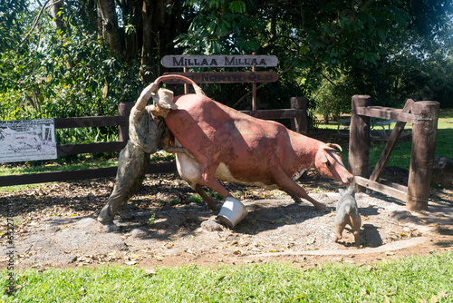 Comical statue at the entrance to the township of Milla Milla with reference to its' history in dairy farming.