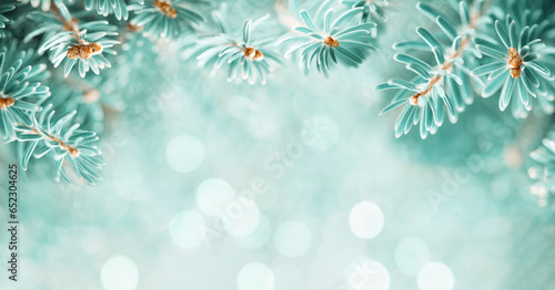 Beautiful Green Blue Fir Tree Branches on turquoise background with bokeh. Christmas and Winter concept. Soft focus, macro. Banner photo