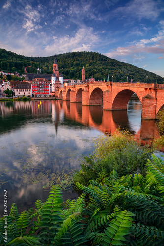Obraz na płótnie Heidelberg, Germany. Cityscape image of historical city of Heidelberg, Germany with Old Bridge Gate at autumn sunrise. w salonie