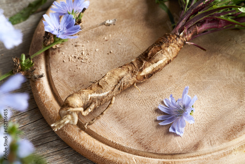 Fresh chicory root, leaves and flowers photo