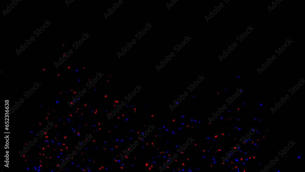 Red & Blue confetti party popper explosions on Black and Green backgrounds, Alpha Channel 4K greeting animation Red & Blue confetti party popper explosions on Black and Green backgrounds, Alpha Channel 4K greeting animation