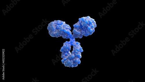 3D rendering of an antibody, IgG, scientific accurate, immune system, isolated, immunoglobuline, molecular, medical illustration,  (ID: 652320422)