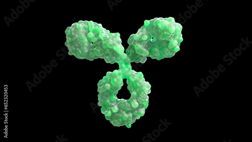 3D rendering of an antibody, IgG, scientific accurate, immune system, isolated, immunoglobuline, molecular, medical illustration,  (ID: 652320453)