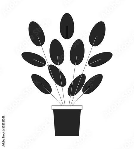 Round leaf houseplant black and white 2D line cartoon object. Pilea peperomioides potted plant isolated vector outline item. Tropical foliage. Chinese money plant monochromatic flat spot illustration